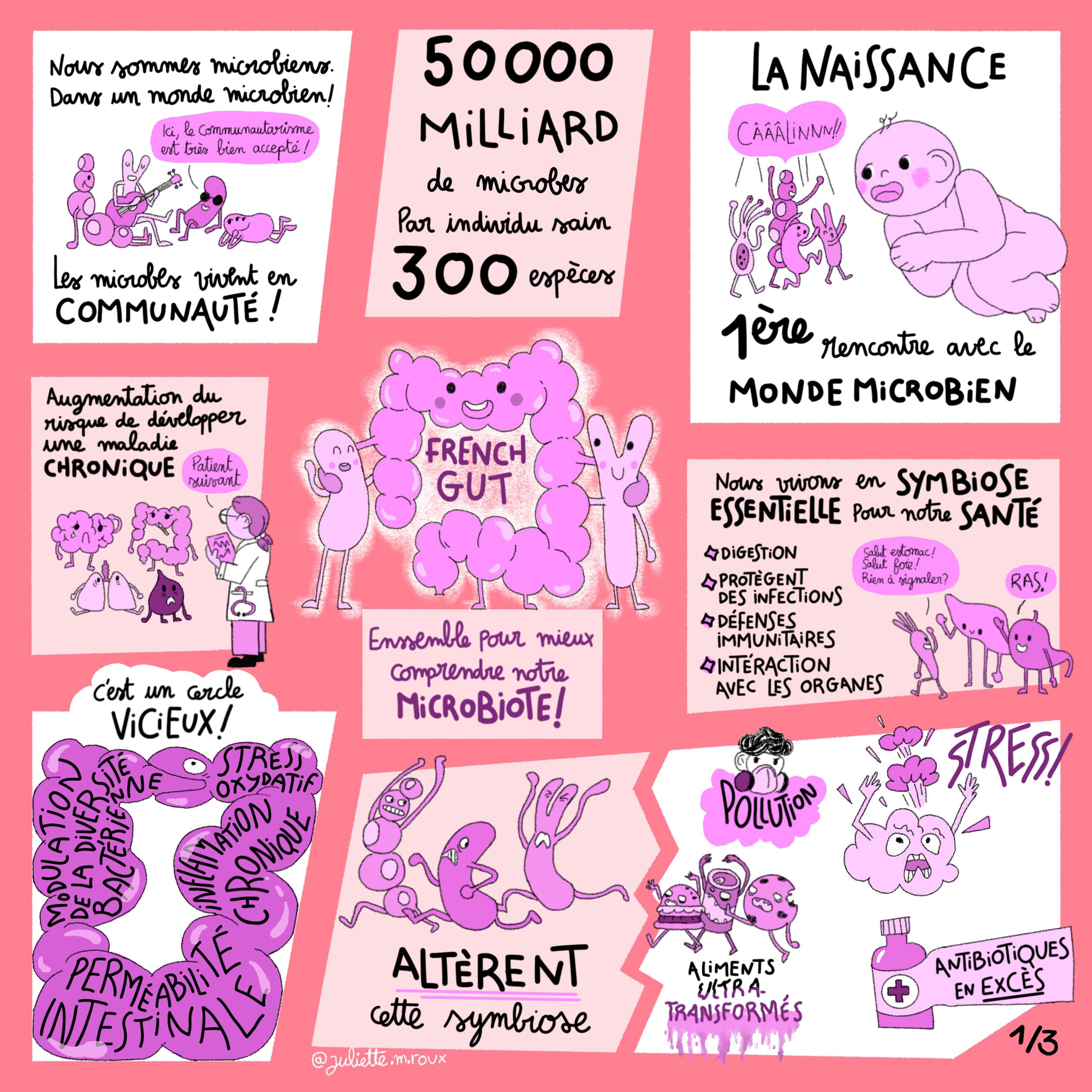 French Gut